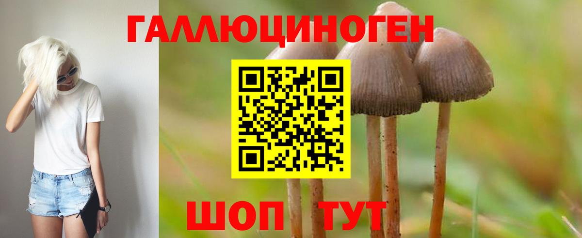 Псилоцибиновые грибы GOLDEN TEACHER Лабинск